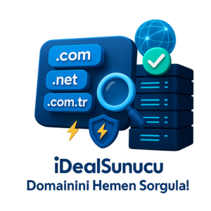 Domain Sorgulama